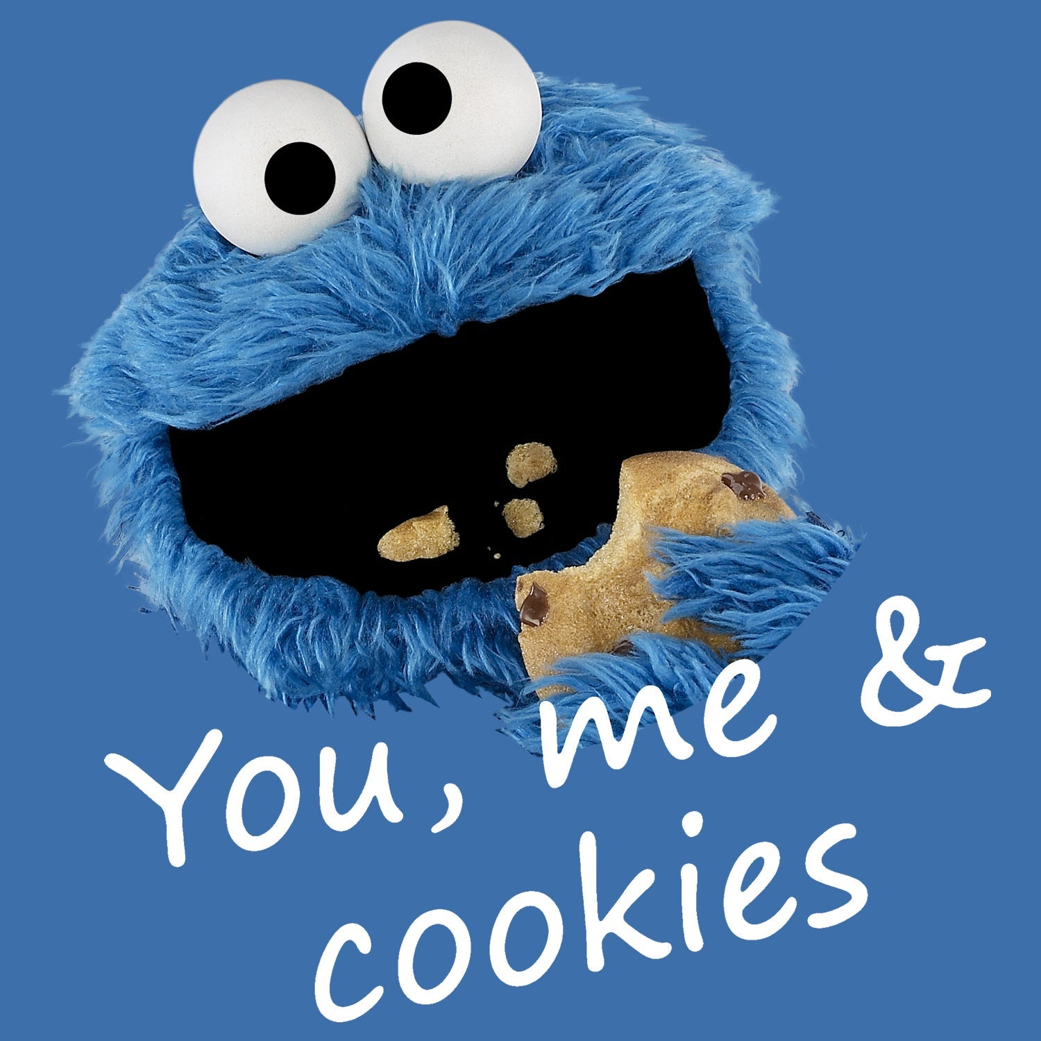 Sesame Street Cookie Monster You & Me Official Women's T-Shirt ()