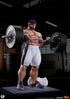 STREET FIGHTER RYU BATTLE EDITION POWERLIFTING 1:4 PREMIER SERIES STATUE