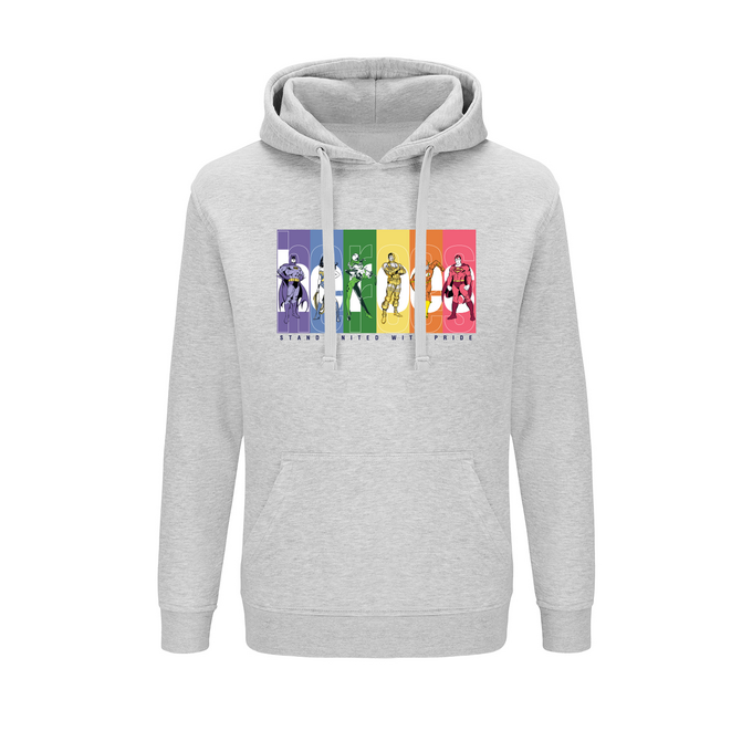 Justice League DC Gray Hoodie