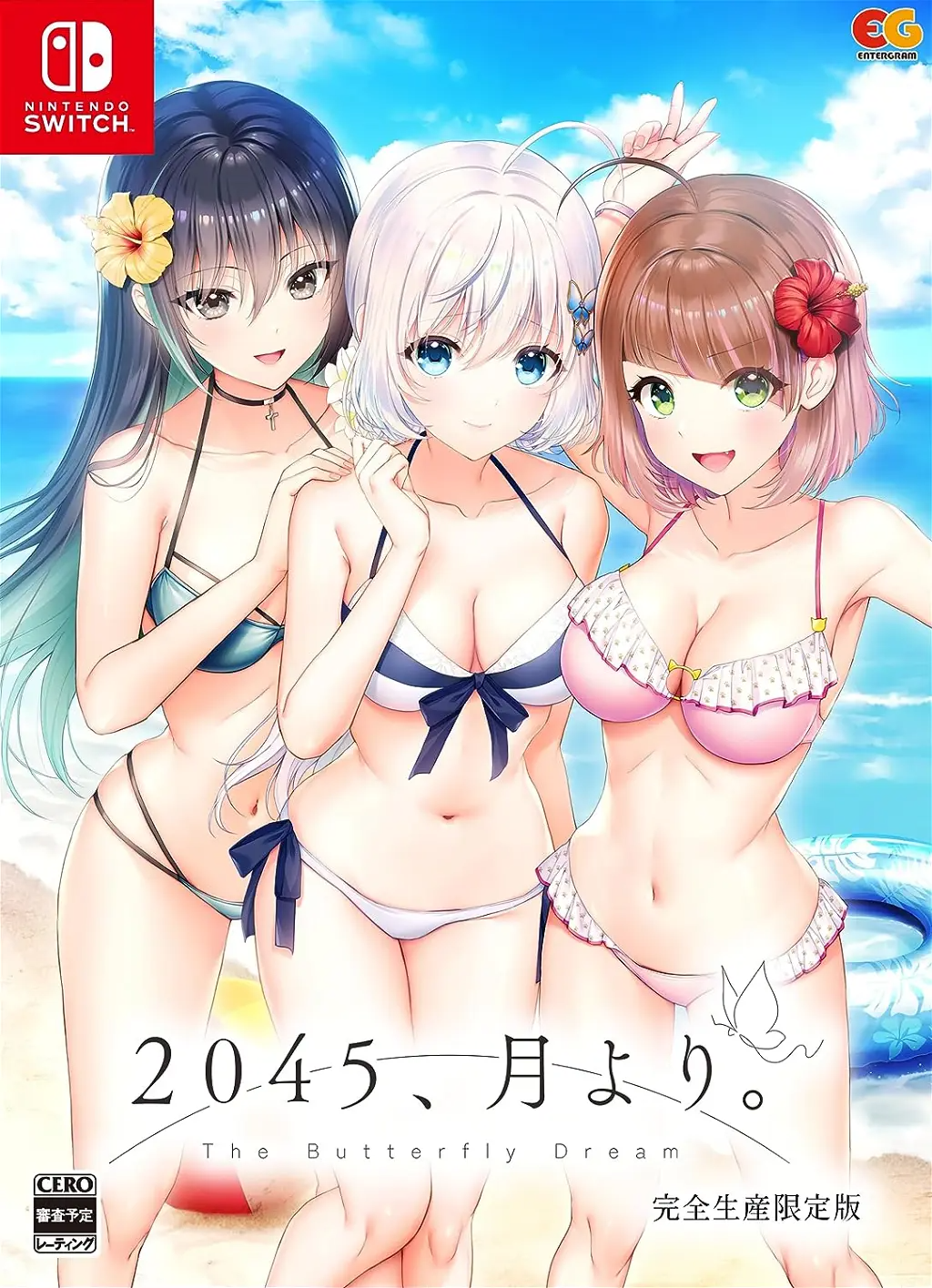 2045, Tsuki Yori. [Limited Edition] Nintendo Switch