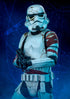 Star Wars NIGHT TROOPER 1/10 ART SCALE