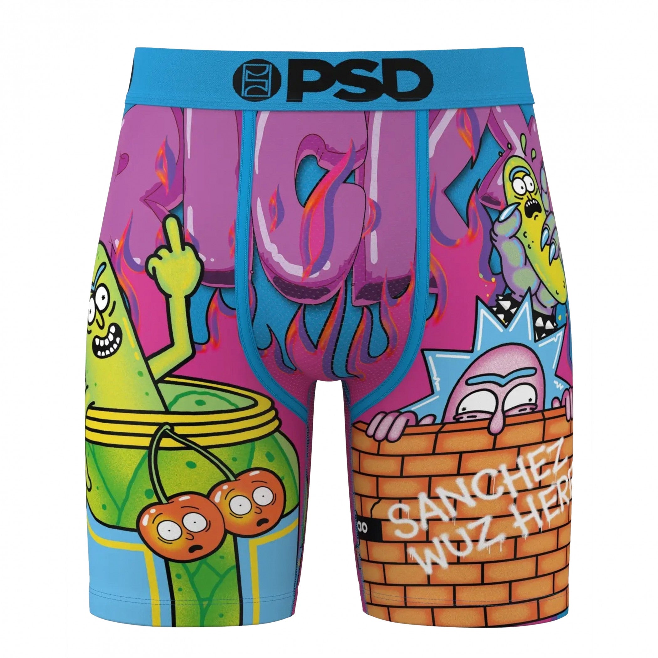 Rick and Morty Pickle Trip PSD Boxer Briefs