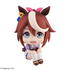 Uma Musume: Pretty Derby Toukai Teiou Look Up