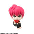 Ranma 1/2 Saotome Ranma Look Up
