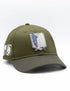 Attack on Titan WALL BLASON Cap