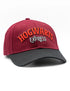 Harry Potter Hogwarts Express Cap