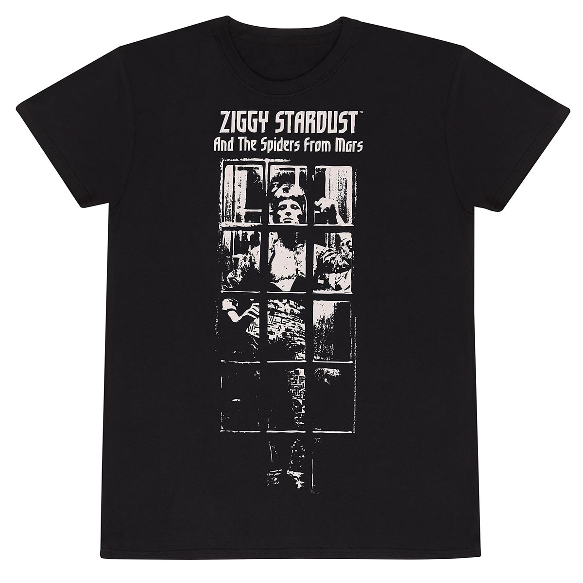 David Bowie Ziggy Stardust T-Shirt