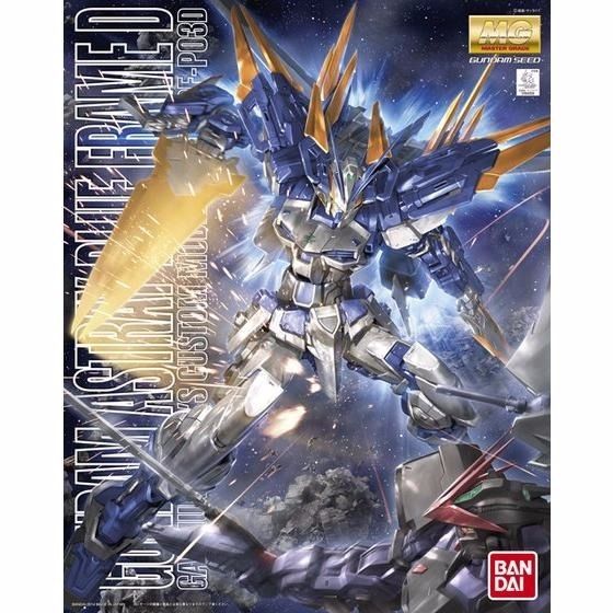 Gundam Astray Mg 1/100 Gundam Astray Blue Frame D