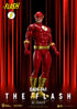 DC Comics Dynamic 8ction Heroes The Flash 1/9 Action Figure