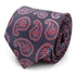 Red and Blue Superman Paisley Tie