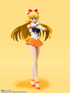S.H.Figuarts Sailor Moon Artemis Sailor Venus Animation Color Edition