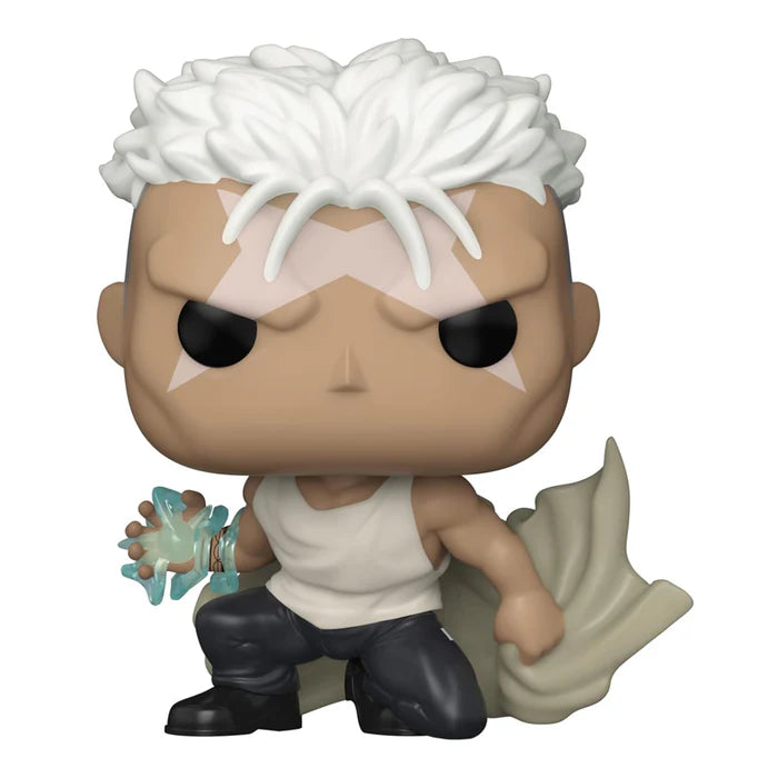 POP Fullmetal Alchemist Brotherhood Scar