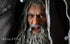 GANDALF THE GREY 1/2 SCALE PREMIUM SCULPTED HEAD STATUE