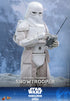 Imperial Remnant Snowtrooper Star Wars The Mandalorian & Grogu 1/6 Scale Figure