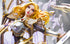 League of Legends The Lady of Luminosity Lux 1/6 Scale Statue