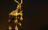 SAINT SEIYA CAPRICORN CLOTH 1/6 SCALE STATUE