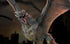 GAME OF THRONES DROGON PREMIUM STATUE