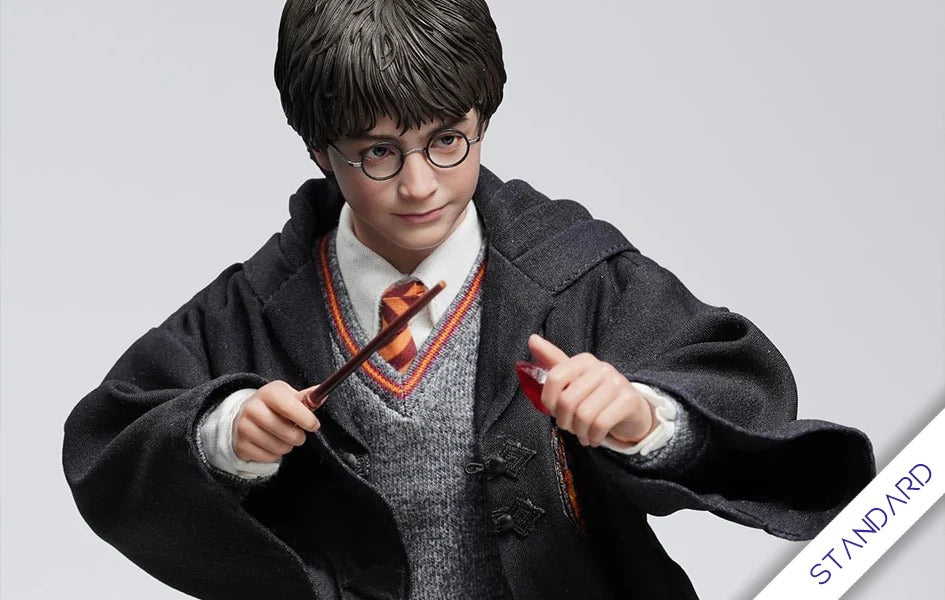 HARRY POTTER AND THE SORCERER'S STONE HARRY POTTER STANDARD IN ART 1/6 SCALE FIGURE