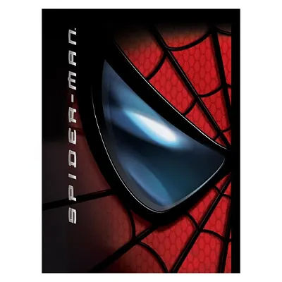 Spider-Man: The Movie Playstation 2