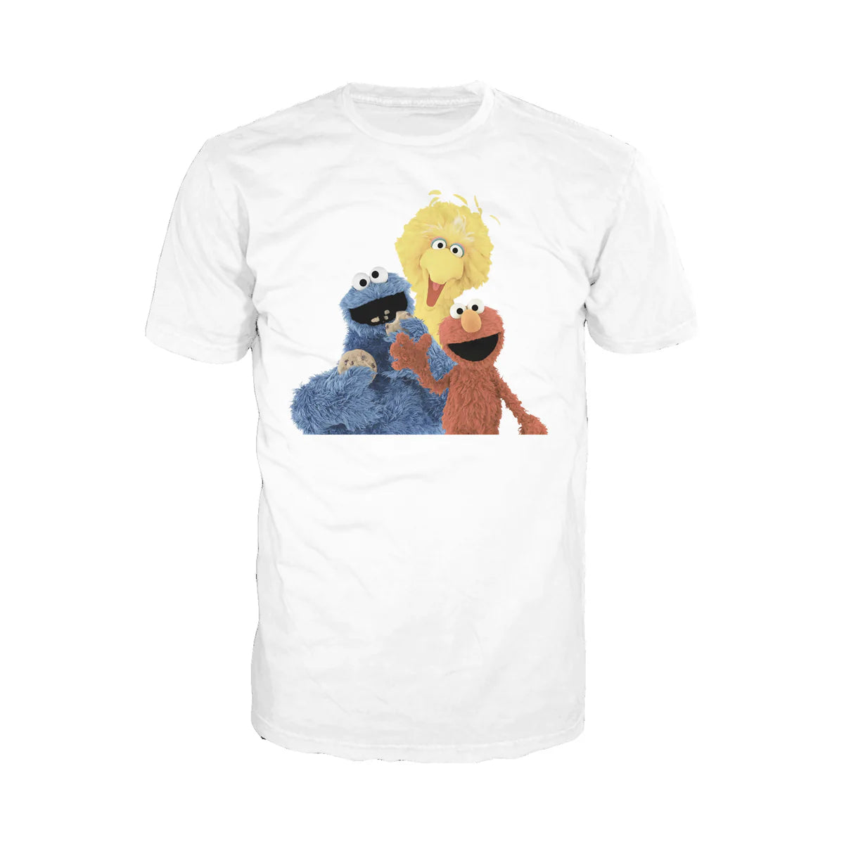 Sesame Street Group Photo Wave Official Men's T-shirt