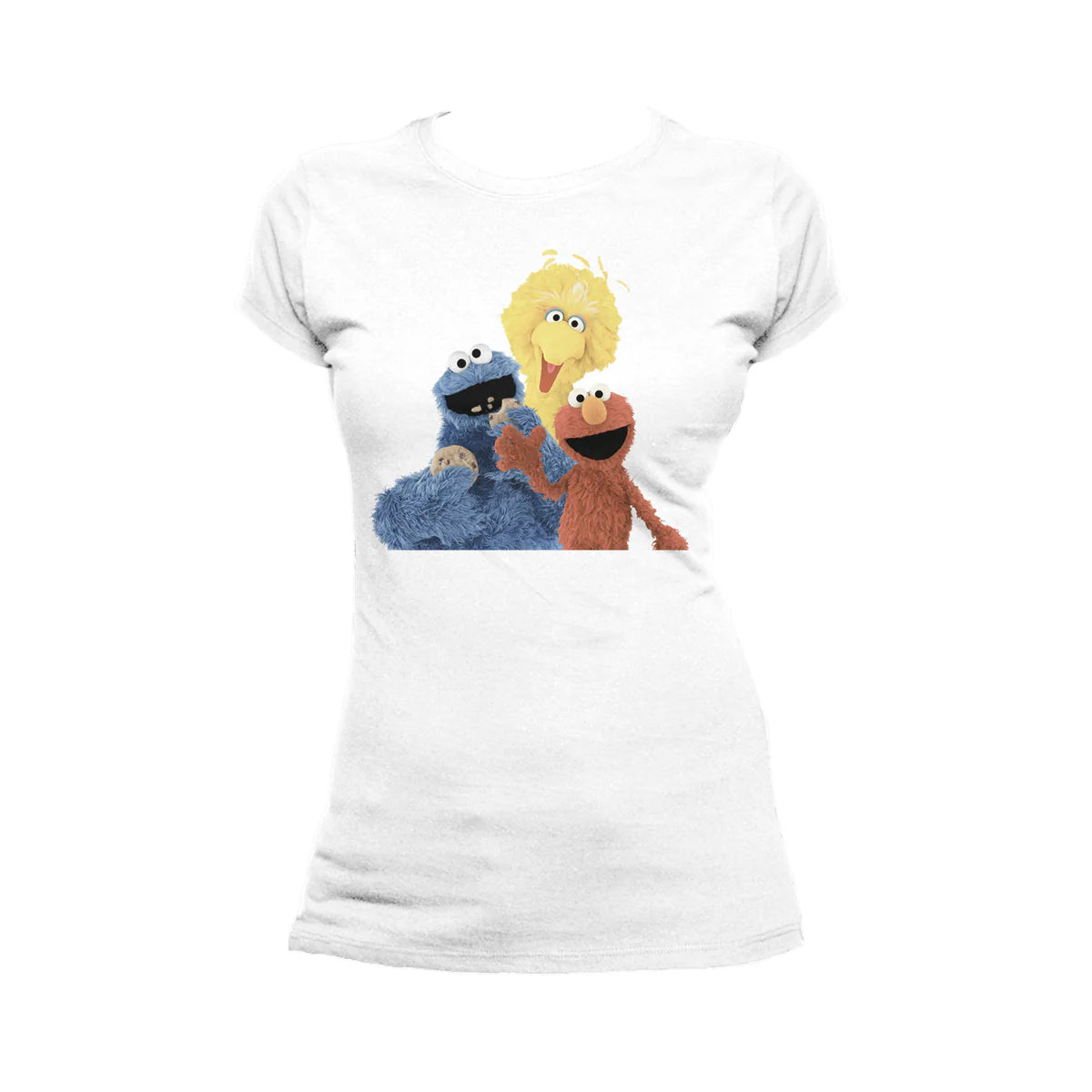 Sesame Street Group Photo Wave Official Women's T-shirt