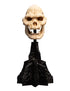 Lord of the Rings Skull of Lurtz Mini Statue