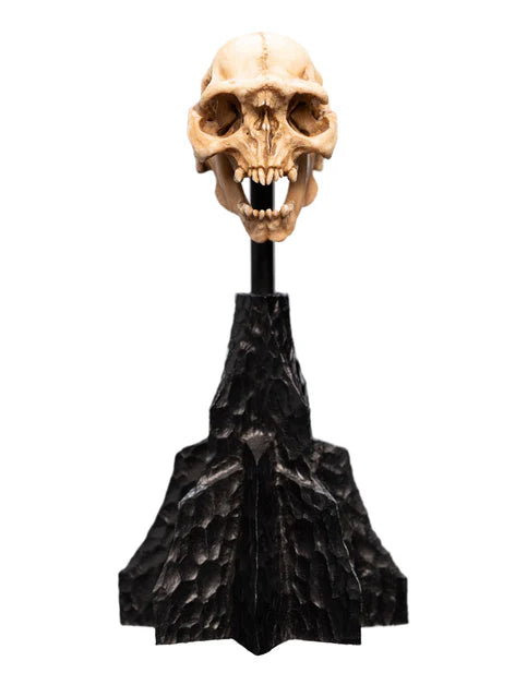 Lord of the Rings Skull of a Moria Orc Mini Statue