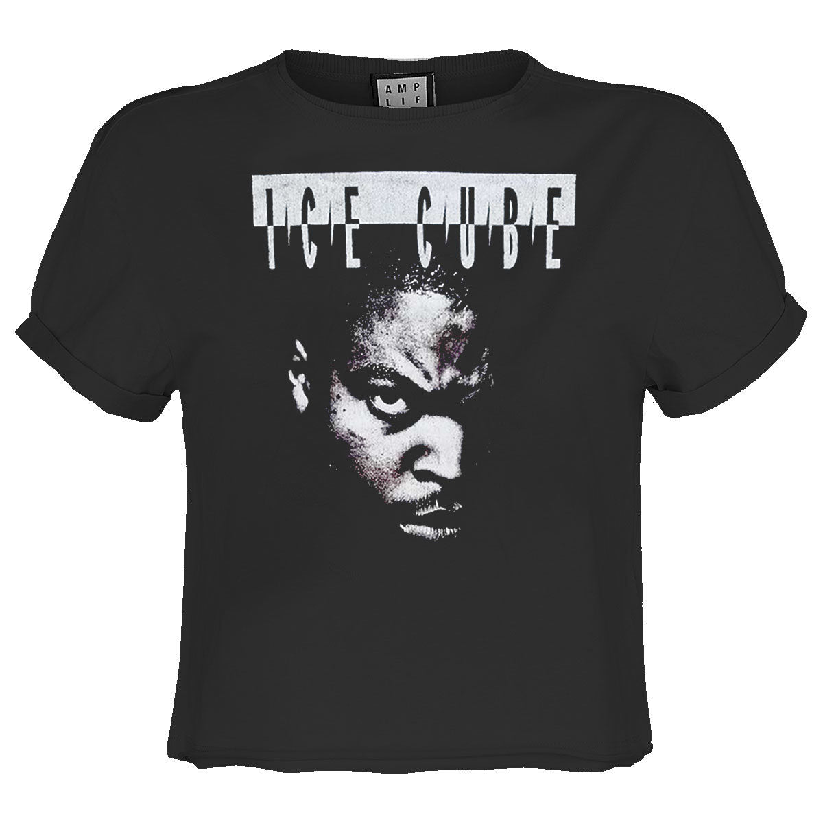Ice Cube Intimidation Ladies Crop Top