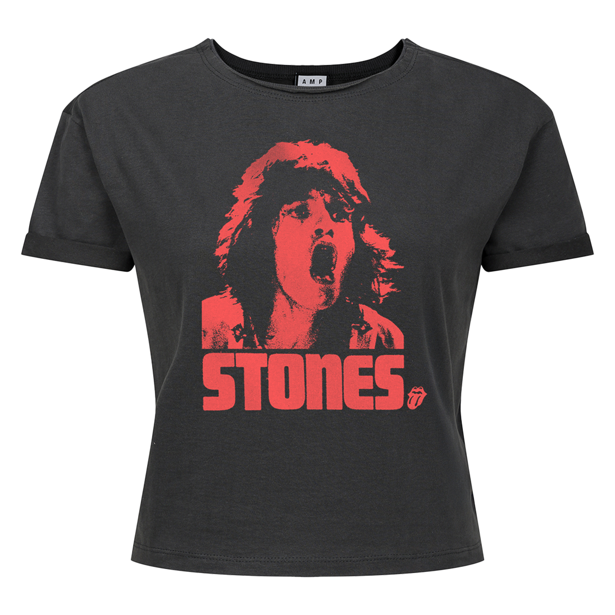 The Rolling Stones Mick Photo Stones Ladies Crop Top T-Shirt