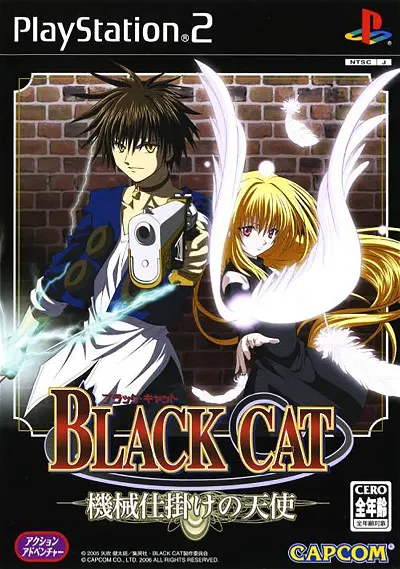 Black Cat Playstation 2