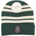 Harry Potter Slytherin School Beanie