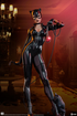 Sideshow Collectibles DC Comics Premium Format Figure Catwoman