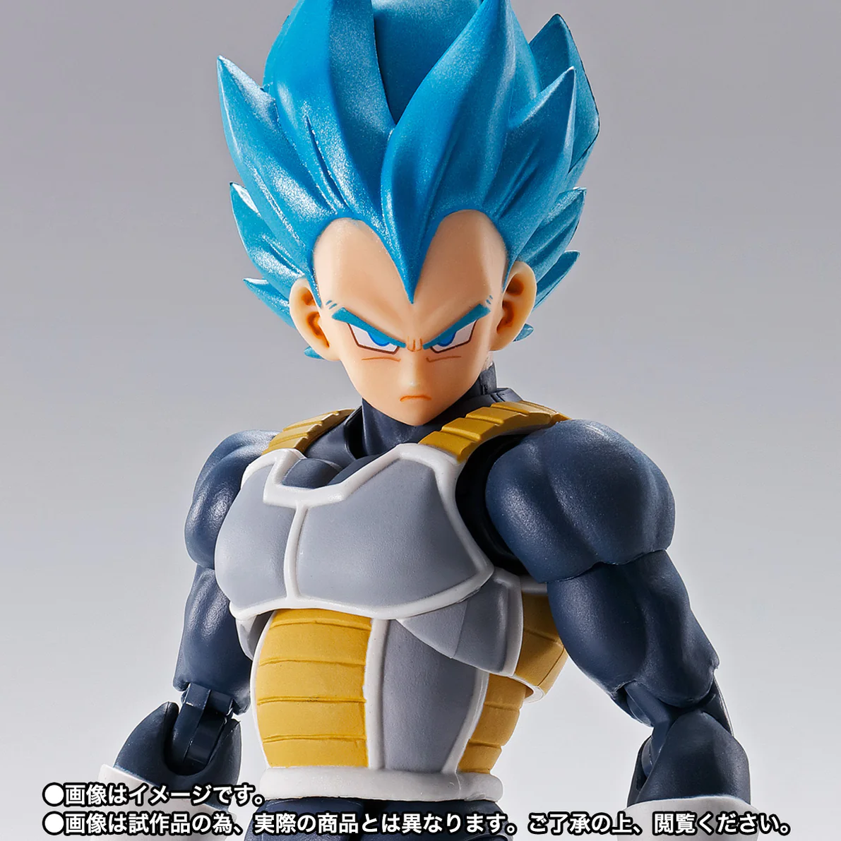 S.H.Figuarts Dragon Ball Super Super Saiyan God Super Saiyan Vegeta 15th Anniversary Ver. Exclusive Action Figure