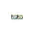 Pokemon Leafeon & Glaceon VStar Special Collection Pair