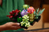LEGO Icons Succulents