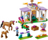 LEGO Friends Riding School