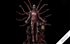 STRANGER THINGS 1/10 VENCA DELUXE ART SCALE