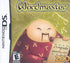 Wordmaster Nintendo DS