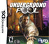 Underground Pool Nintendo DS