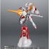 S.H.Figuarts X Robot Spirits Side Franxx Darling In The FranXX Strelizia 5th Anniversary Set