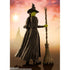 S.H.FIGUARTS Wicked Elphaba