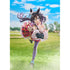 Umamusume Pretty Derby Eishin Flash 1/7 Limited Edition