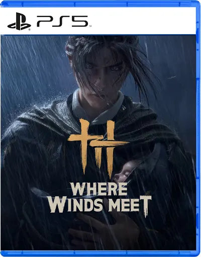 Where Winds Meet PLAYSTATION 5