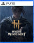 Where Winds Meet PLAYSTATION 5
