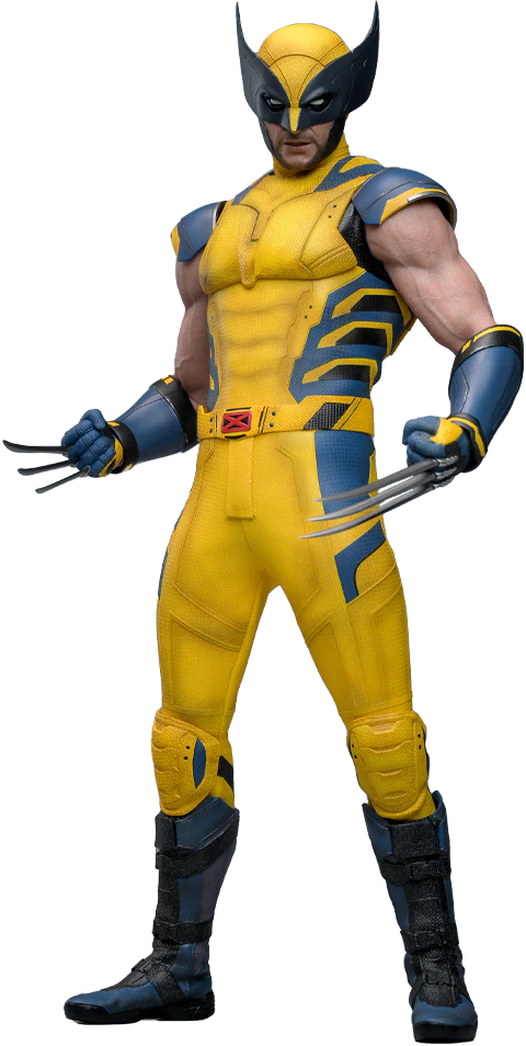 Marvel 1/6 Scale Collectible Figure D&W Wolverine