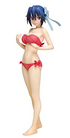 Nisekoi Tsugumi Seishirou Beach Queens Swimsuit ver