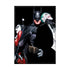 Alex Ross Harley Joker Batman Print Photo Magnet