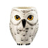 Harry Potter Hedwig Mug