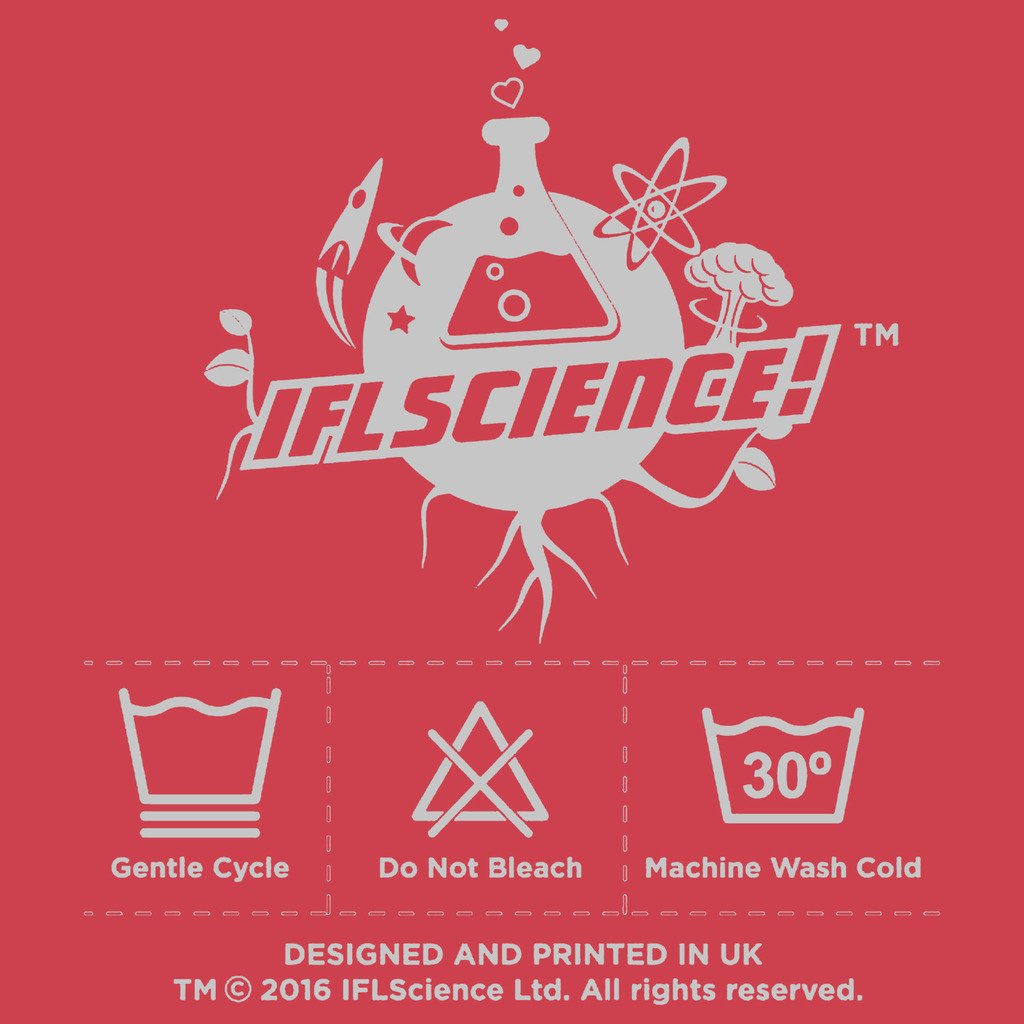 Weird Science Smart Is Sexy Official Men's T-shirt ()