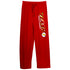 Flash Speed Force Unisex Red Pajama Pants